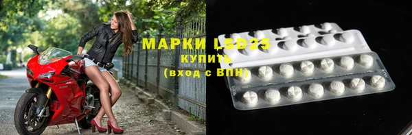 спайс Аркадак