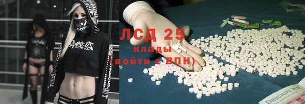 гашик Арсеньев