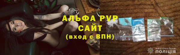 гашик Арсеньев