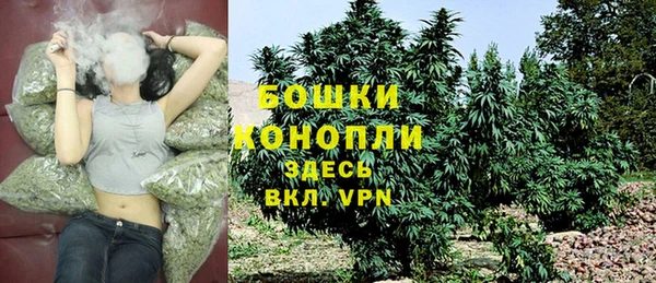 гашик Арсеньев