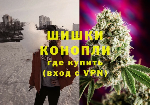 гашик Арсеньев