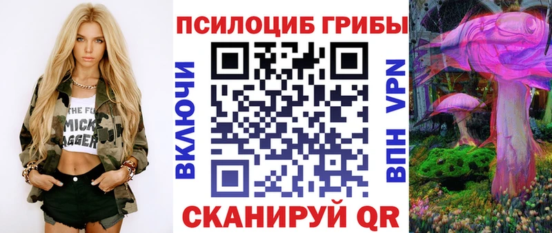 Псилоцибиновые грибы Magic Shrooms ссылка на мегу зеркало Нолинск закладки